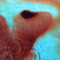 Cover for Meddle Pink Floyd